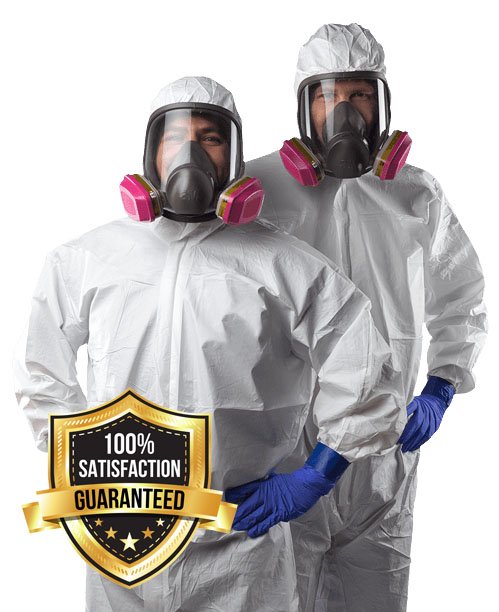 mold removal mold remediation expert in dallas